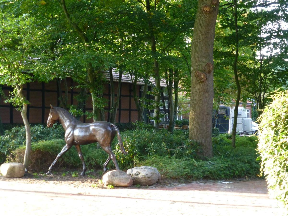 Grosse Ferienwohnung, Auf Bauernhof Mit Ponys Und Pferden, Laendlich Und Ruhig, Naehe Duemmer See Holdorf Zewnętrze zdjęcie